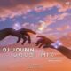 DJ Joubin   Joubi Mix 10 80x80 - دانلود پادکست جدید دیجی امیر بی پی ام به نام پرشین کست 4